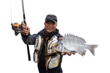 [낚시터] 해남 앞바다는 감성돔 보고(寶庫)_어룡도, 무주공산 감성돔 천지