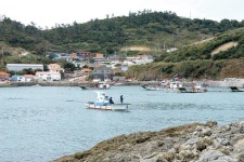 [낚시터] 해남 앞바다는 감성돔 보고(寶庫)_어룡도, 무주공산 감성돔 천지