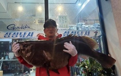 [역대 최대어 탄생] 118cm, 31kg 다금바리_현관철씨, 제주 범섬 서코지에서 견인