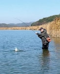 [낚시터] 430만평 보령 보령호_고장수로와 신송리가 윈터 스팟