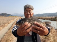 [현장기] 겨울 손맛 맛집_해남 화산천 샛수로