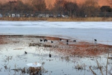 [호황현장] 앗 뜨거! 가평 달전천_영하 13도에서 즐기는 온천 손맛