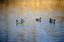 [호황현장] 앗 뜨거! 가평 달전천_영하 13도에서 즐기는 온천 손맛