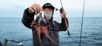 [현장기] 포항 앞바다 문어 배낚시_피문어 가세해 돌문어와 각축전