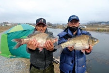 [호황현장] 서산 성암지_토종 피크 마감_5짜 대떡 찬스 왔다