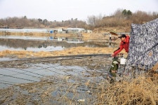 [강력추천] 참붕어빨 좋은 월척터_예천 원당지