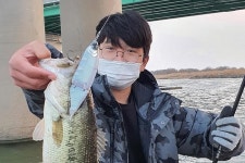 [대어] 양산 양산천 호포대교 밑에서_첫 6짜 배스를 낚았어요!