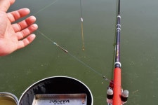 [연재_손태성의 유료터 탐방] 옥천 백지리낚시터_수도권 능가하는 시설로 남부지역까지 입소문