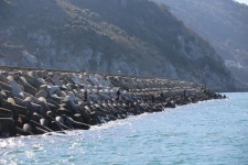 [기획_섬 낚시여행 가이드] 통영 매물도_무늬오징어, 벵에돔, 전갱이 시즌 돌입_등산객도 캠핑족도 넘버원으로 꼽는 섬