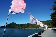 [기획_섬 낚시여행 가이드] 통영 한산도_이순신 한산대첩 유적지 역사체험_갑오징어낚시 중 문어, 낚지는 덤