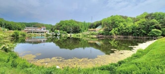 [강력추천] 안동 사곡지의 괴력_하룻밤 새 4짜만 네 마리, 마릿수 월척은 덤