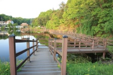 [강력추천] 안동 사곡지의 괴력_하룻밤 새 4짜만 네 마리, 마릿수 월척은 덤