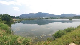 [특집_갈수기 붕어낚시 솔루션] 3_고수 7인의 포인트 선정요령_계곡지 골자리 옆 둔덕이 명당