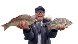 [추천 유료터] 화성 안석낚시터_배수에 강한 토종붕어 유료터의 지존