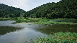 [강력추천] 논산 논산천 웅천보_풍광 뛰어나고 마릿수 일품