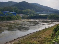 [낚시터] 완도 청학지_큰비 뒤 오름수위 특수 1순위터