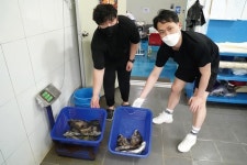 [추천 유료터] 화성 화성락실내바다낚시터_자연산 다금바리까지 낚인다면 말 다했죠
