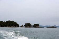 [특집_몬스터 선상 에깅] 통영 사량도 현장기_얕은 해초밭으로_깊숙이 더 깊숙이