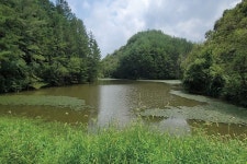 [집중분석_양수형지 붕어낚시] 가뭄에도 끄떡없는_인기 톱 양수형지 13