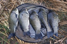 [강력추천] 괴산 창산지_추억 속 꽝터가 4짜터로 변신