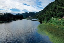 [강력추천] 나주 지석천 드들강_마름 언저리에 월척이 어슬렁 어슬렁