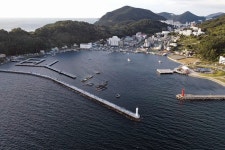 [대회] 2022 제12회 다이와 에깅파티_강풍 속 200명 접전, 270g 무늬오징어 낚은 손민근 씨 우승