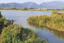 [낚시터] 겨울 남녘 수로낚시터 탐사_영암호 최상류 해남 옥천천이 명당