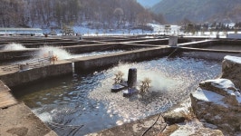 [현장기] 미녀 3인방의 송어낚시 첫 경험