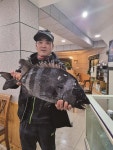 [대어] 100회 넘는 도전 끝에 성공_제주 조천 선상낚시에서 67cm 돌돔을 낚다
