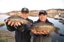 [추천 유료터] 안성 칠곡낚시터_24K 황금 토종 월척이 번쩍번쩍