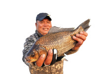 [추천 유료터] 안성 칠곡낚시터_24K 황금 토종 월척이 번쩍번쩍