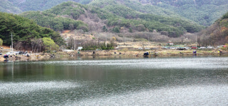 [현장기] 시조회터 1순위터 진주 장안지_때글때글 토종붕어가 힘도 장사네요! 장사!