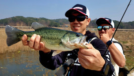 [현장기] 산란 전 대호 빅배스 미션_갈대 브러시와 2선에 빠진 런커를 노려라
