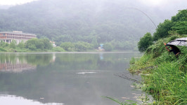 [호황현장] 나주 지석천_의리로 낚아낸 드들강 떼월척