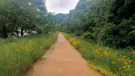 [호황현장] 나주 지석천_의리로 낚아낸 드들강 떼월척