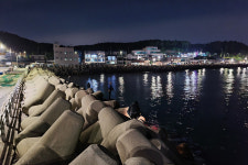 [현장기] 산란 무늬 부산도 호황_기장 문동방파제 몬스터 에깅 러시