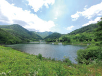 [연재_손태성의 유료터 탐방] 괴산 오가리낚시터_청정옥수 속 장사 붕어가 뛰논다