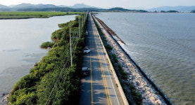 [발굴 현장기] 강진 도암천_만덕호 유명세에 가린 뉴스타 데뷔