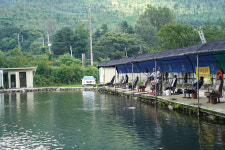 [추천 유료터] 가평 폭포낚시터_향어 괴력보다 계곡 물놀이가 더 서늘해!