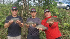 [호황현장] 장성 개천 초원의 집 포인트_서리도 안 내렸는데 월척이 떼로 낚인 이유는?