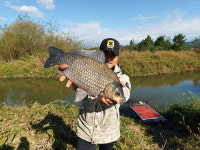 [호황현장] 낙동강 구미보의 월척 쌍두마차_독동수로 VS 신기리수로