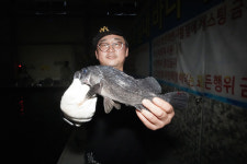 [이색 낚시터] 화성시 화성락실내바다낚시터_감성돔, 방어가 제철이구나!