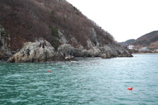 [호황현장]  부산 가덕도 조황은 원도 뺨치네!