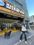 [대어]  제주 범섬 50cm 긴꼬리벵에돔 역시 해창은 대물 찬스구나!