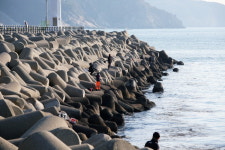 [현장기]  볼락루어가 한물갔다고? 울산 슬도방파제는 발 디딜 틈이 없어!