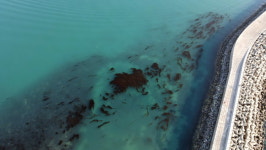 [현장기]  볼락루어가 한물갔다고? 울산 슬도방파제는 발 디딜 틈이 없어!