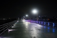 [현장기]  볼락루어가 한물갔다고? 울산 슬도방파제는 발 디딜 틈이 없어!