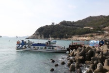 [현장기]  부산 영도 감지해변 봄 전갱이 씨알이 몰라보게 커졌구나~