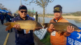 [현장기]   광주 황룡강 얼레붕어낚시 정기출조 4짜 붕어로 마지막까지 박빙승부