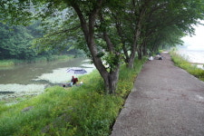 [추천 낚시터]  용인 완장천 방아리보_낚시 구간은 짧지만 월척 확률은 최고